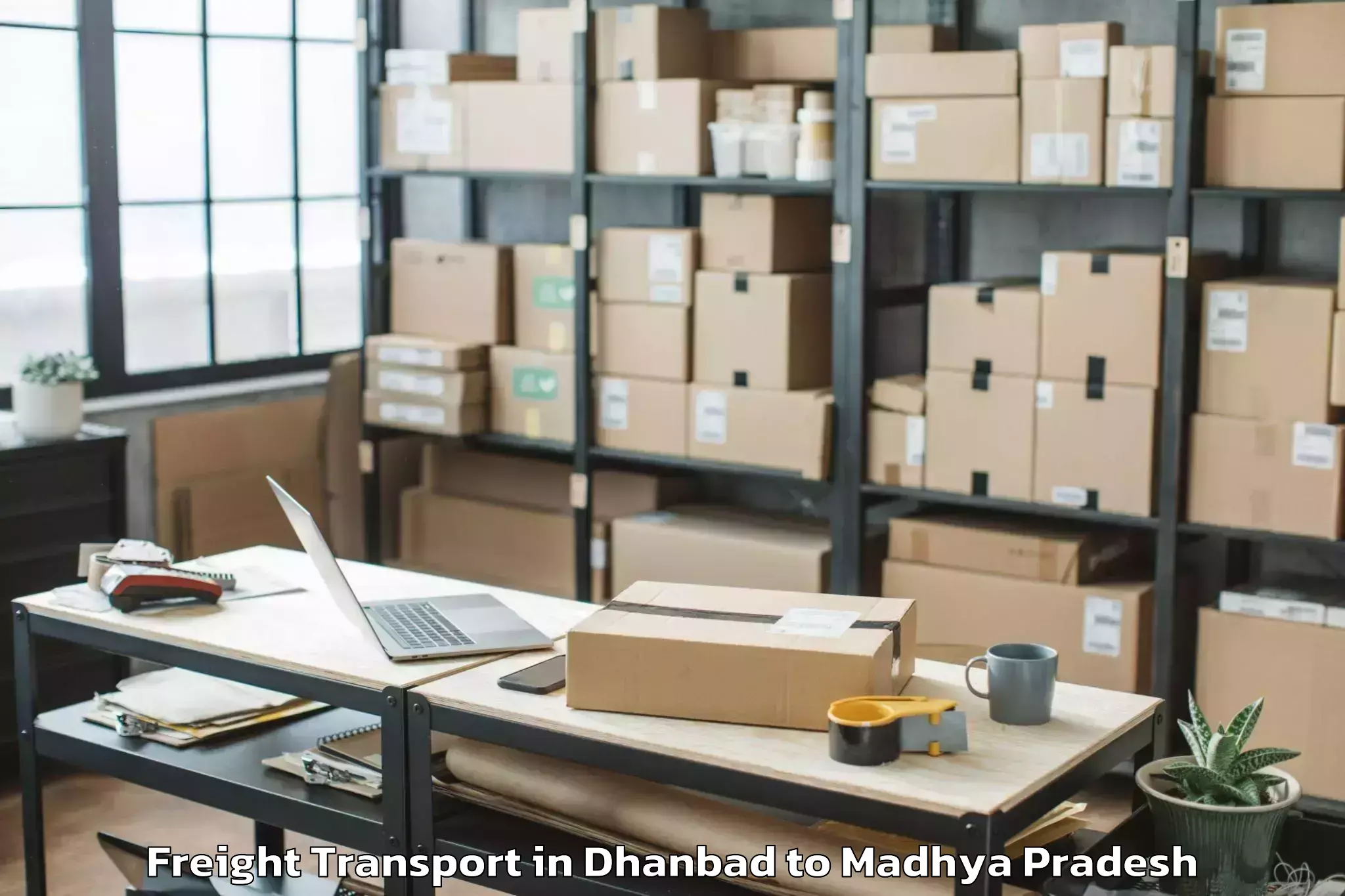 Quality Dhanbad to Guna Airport Gux Freight Transport